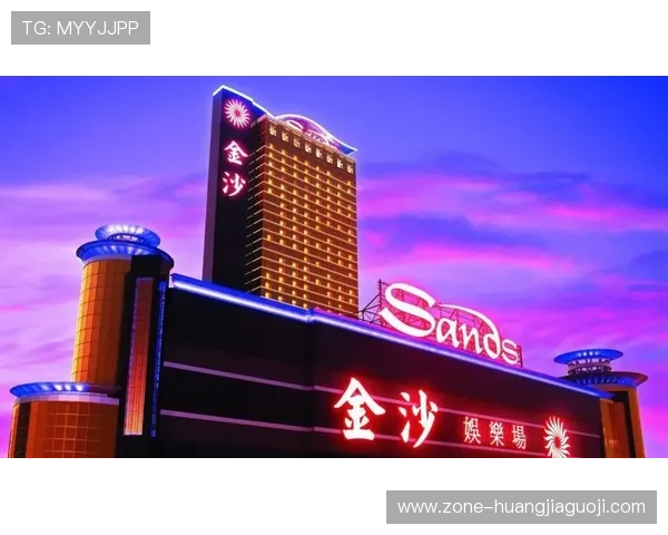 澳门金沙娱乐游戏安全性分析保障玩家资金安全的技术措施与风险控制策略